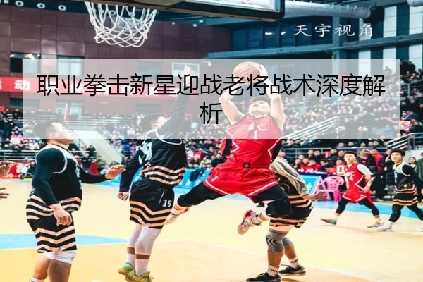 职业拳击新星迎战老将战术深度解析